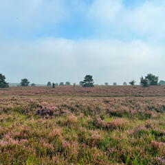 23-09-10 10-44-10 6598